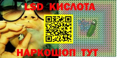 бошки Гагарин