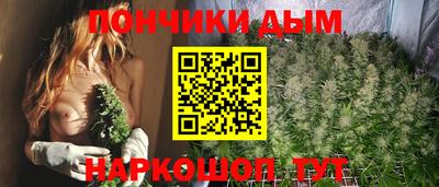 дмт Гай