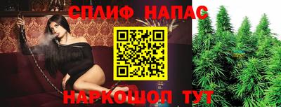 хмурый Гатчина