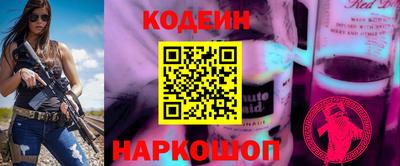 дмт Гай