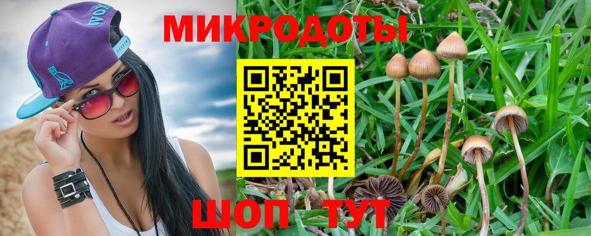 Псилоцибиновые грибы мицелий Уварово